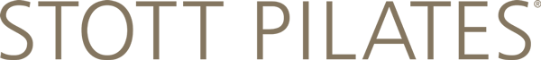 logo stott